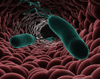 Helicob Cter Pylori Conoce M S Sobre Esta Bacteria Cl Nica Ricardo Palma